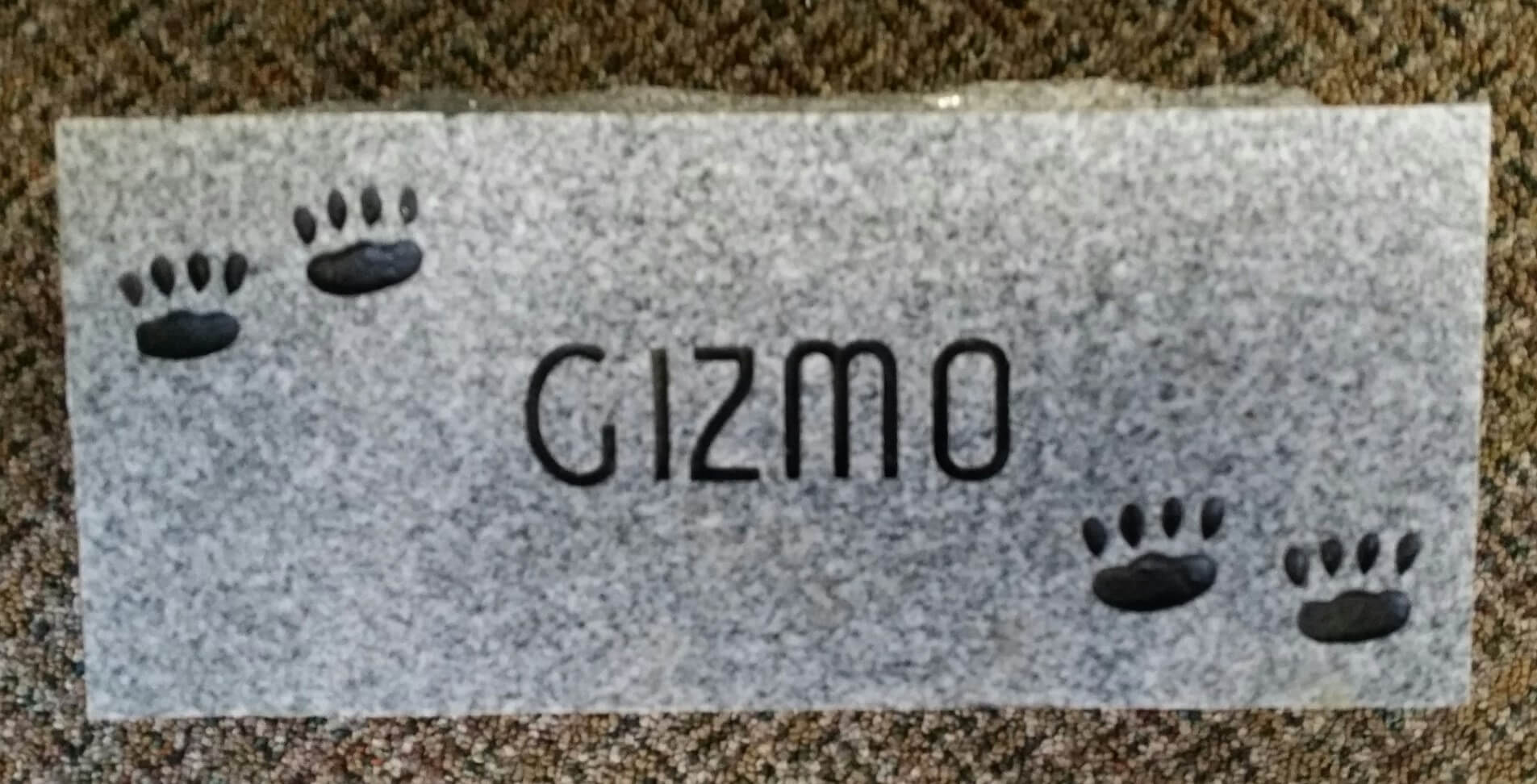 A memorial slab for the pet named Gizmo