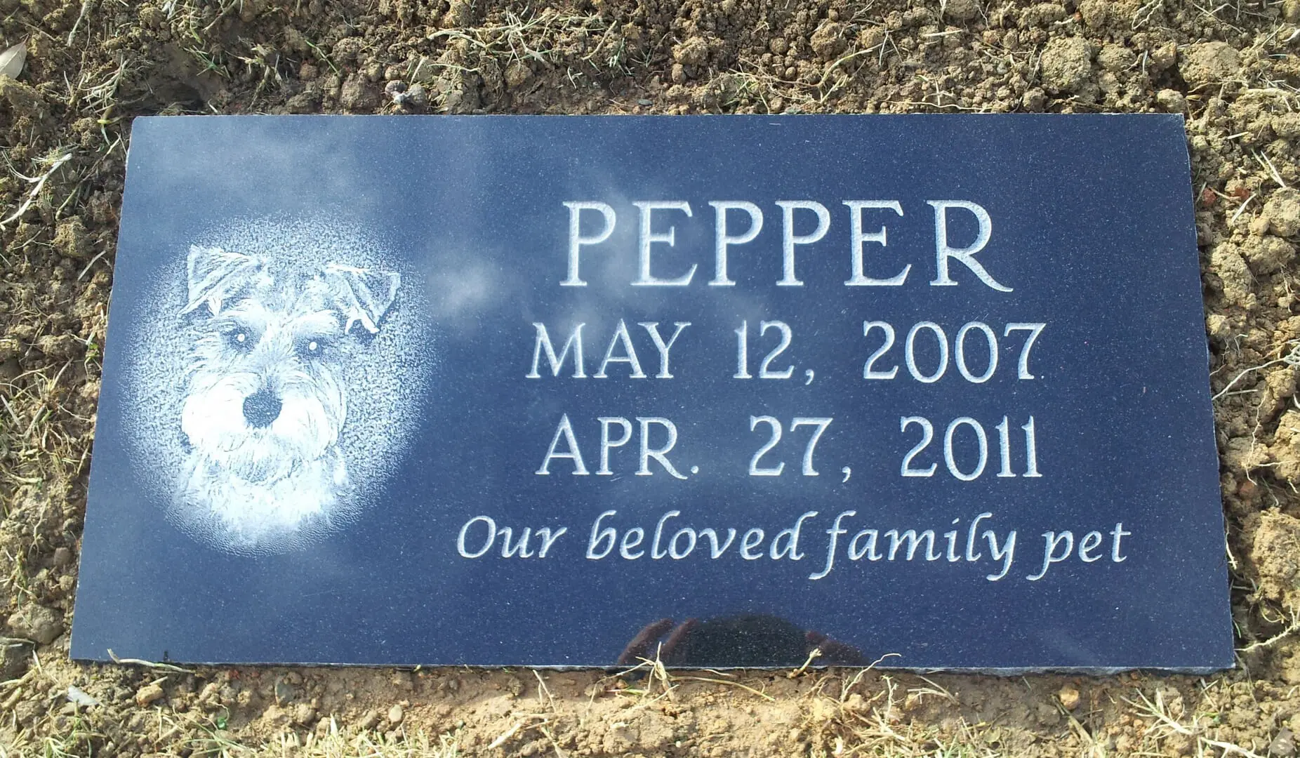A memorial slab with the name Pepper the dog